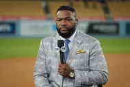 David Ortiz wants the Sox to add Juan Soto (Imagn)